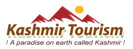 new-logo